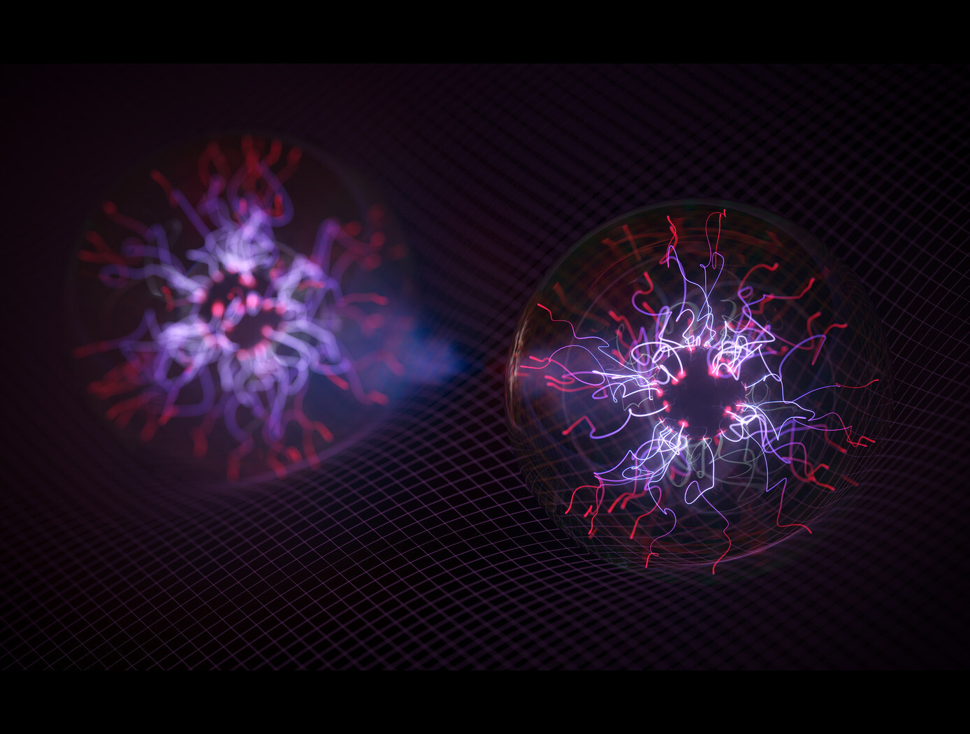 High-Fidelity Deterministic Entangled Photon Source