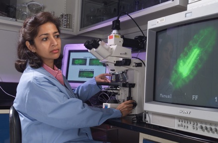Innovator Sharmila Bhattacharya working in her lab at NASAs Ames Research Center. 