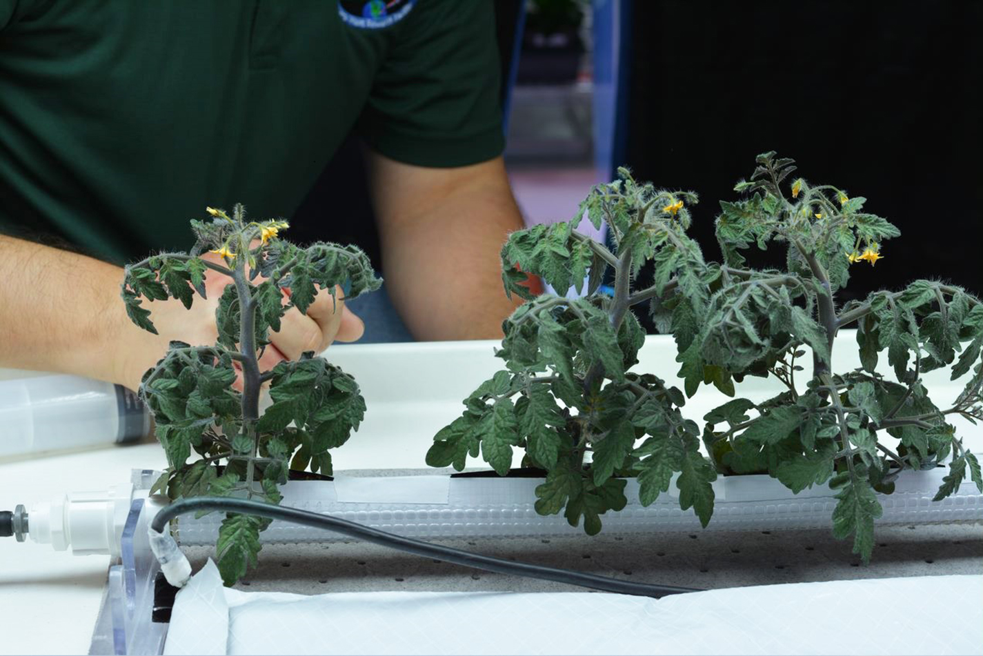 microgravity farming