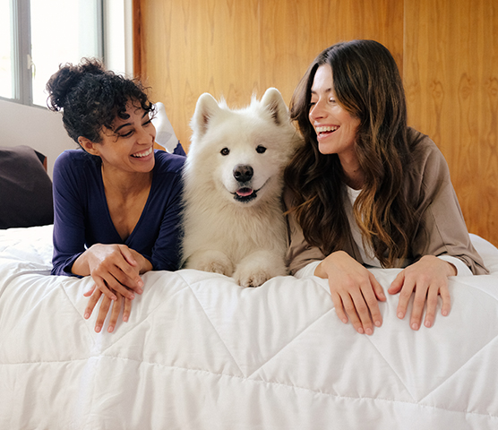 Two people and a dog on the UltraCool comforter