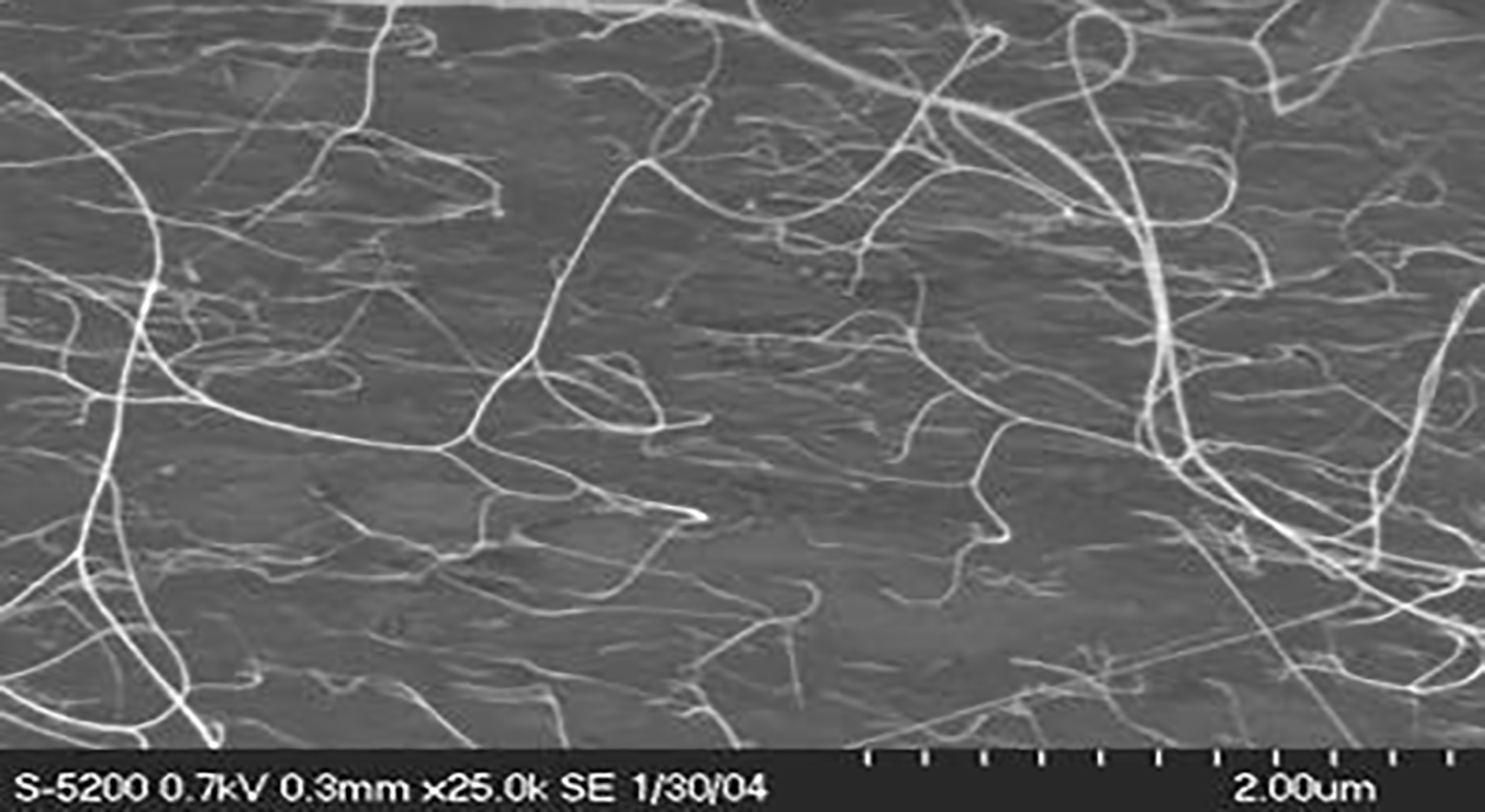 Good dispersion interaction between nanotube and polymer. Image credit: NASA