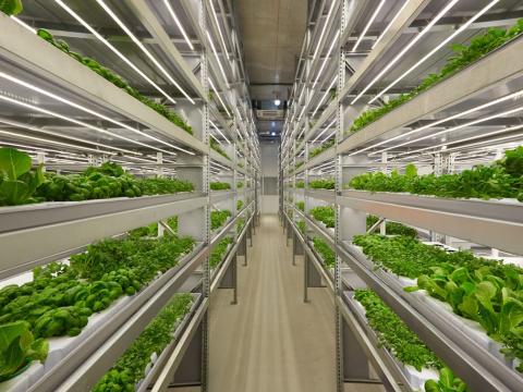 Aetherworks' photograph of an indoor farm