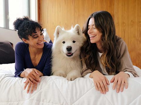 Two people and a dog on the UltraCool Comforter