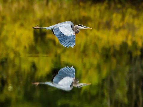 Wastewater Treatment and Remediation (KSC-TOPS-36)