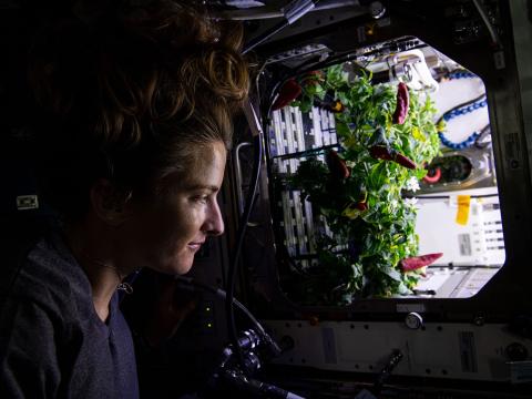 Astronaut aboard ISS with food growing technology