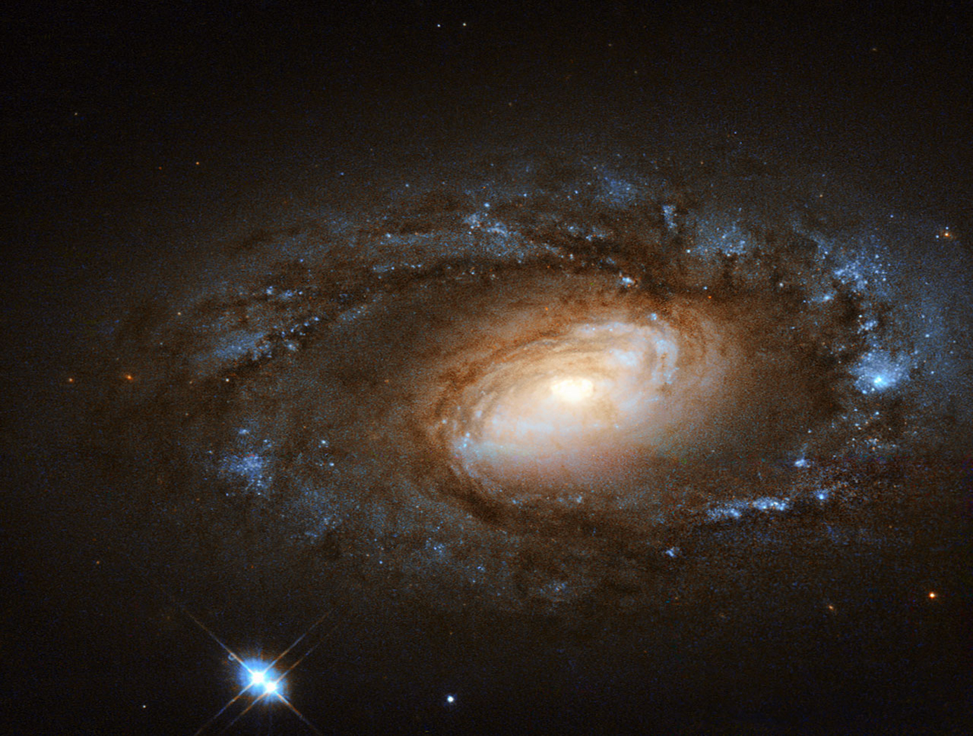 Hubble Spies Charming Spiral Galaxy Bursting with Stars