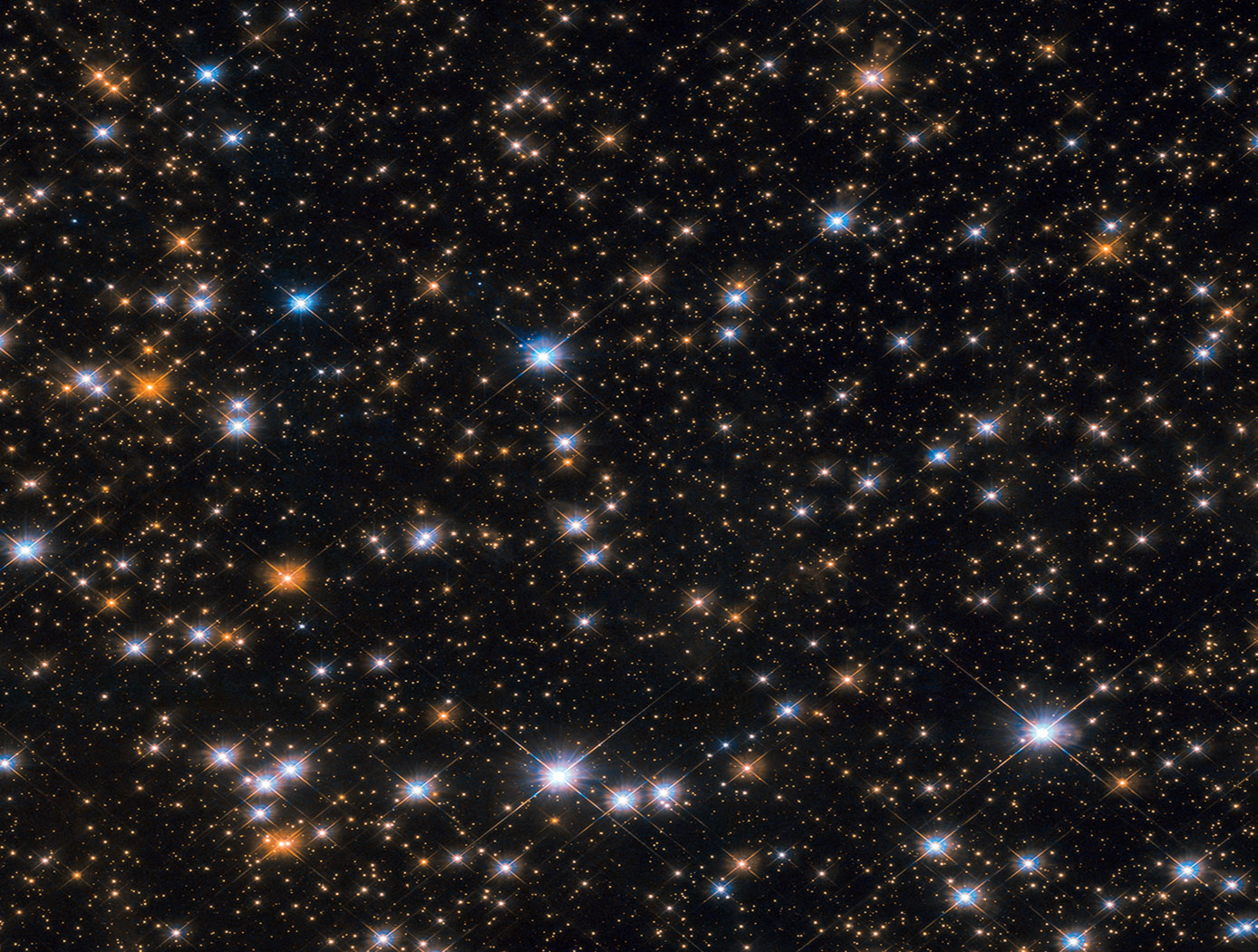 This star-studded image from NASA's Hubble Space Telescope shows us a portion of Messier 11, an open star cluster in the southern constellation of Scutum (the Shield). Messier 11 is also known as the Wild Duck Cluster, as its brightest stars form a V shape that somewhat resembles a flock of ducks in flight. Messier 11 is one of the richest and most compact open clusters currently known. By investigating the brightest, hottest main sequence stars in the cluster, astronomers estimate that it formed roughly 220 million years ago. Open clusters tend to contain fewer and younger stars than their more compact globular cousins, and Messier 11 is no exception: at its center lie many blue stars, the hottest and youngest of the clusters few thousand stellar residents. The lifespans of open clusters are also relatively short compared to those of globular ones; stars in open clusters are spread farther apart and are thus not as strongly bound to each other by gravity, causing them to be more easily and quickly drawn away by stronger gravitational forces. As a result, Messier 11 is likely to disperse in a few million years as its members are ejected one by one, pulled away by other celestial objects in the vicinity.