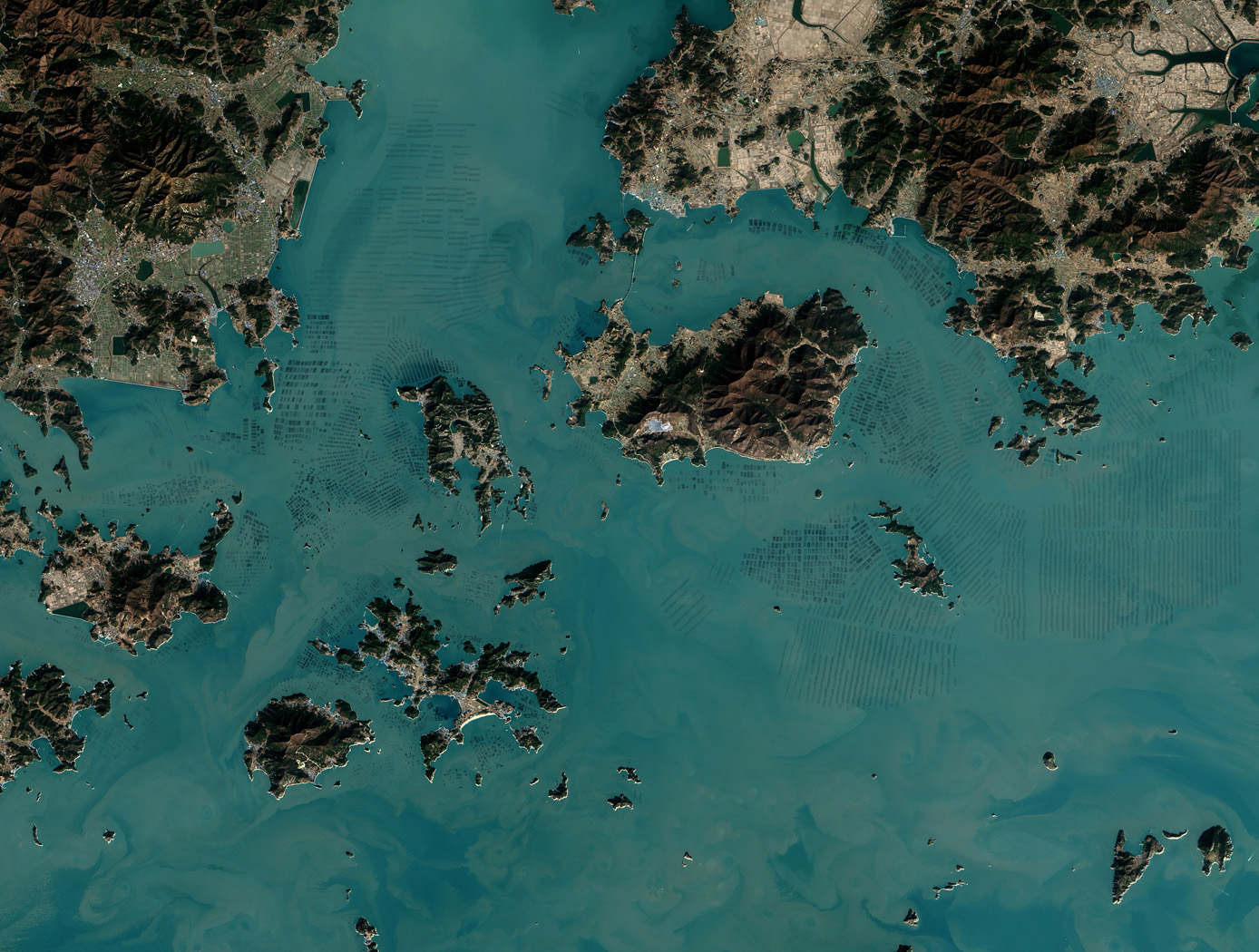 Seaweed Farms in South Korea acquired by The Operational Land Imager (OLI) on Landsat 8