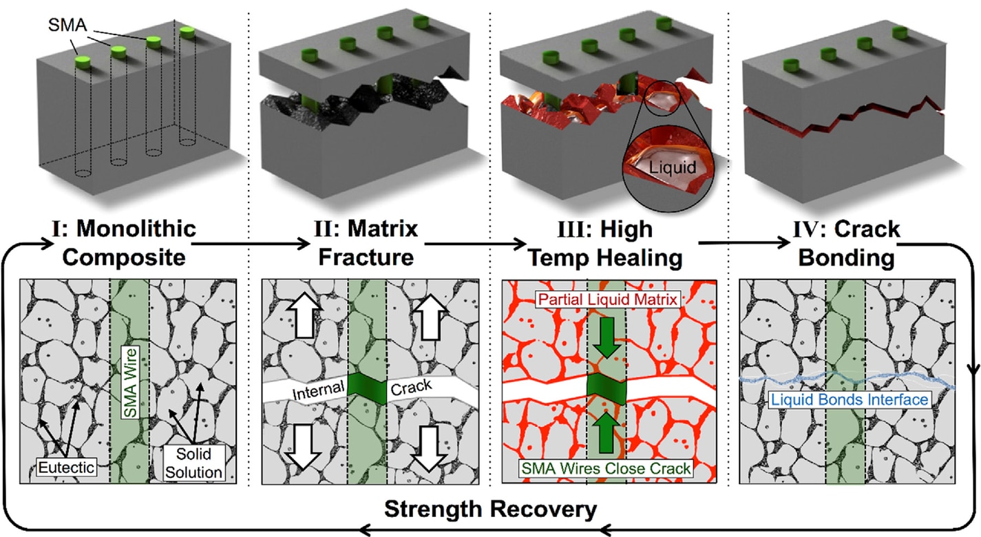 Fig.  The healing cycle for liquid-assisted self-healing metal-matrix composites. The system consists of a metallic matrix with a eutectic micro-constituent shown in black and reinforcing SMA wires shown in green (I). After catastrophic failure, the SMA wires deform to bridge the crack (II). To heal the sample, a high temperature  healing treatment is initiated, during which the eutectic component melts and SMA wires close the crack (III). During cooling, the eutectic component freezes, welding the crack surfaces and eliminating the crack (IV).