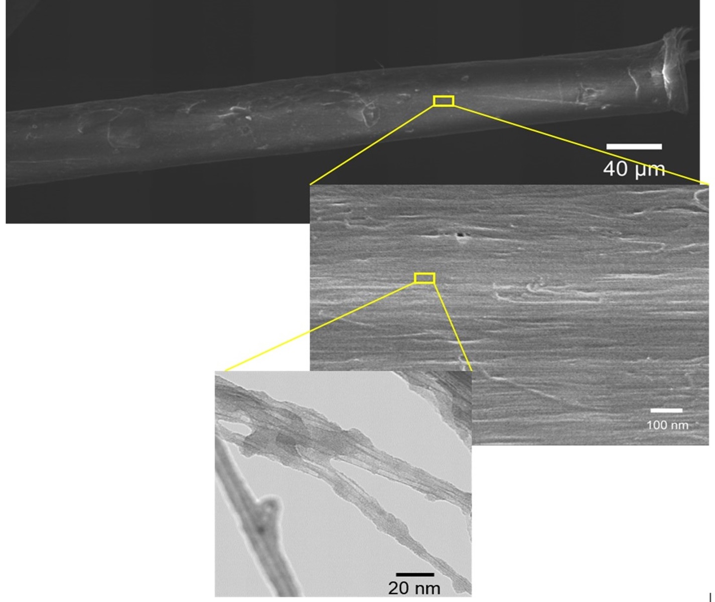 FE-SEM images of a sucrose treated CNT yarn at various magnifications after dehydration process