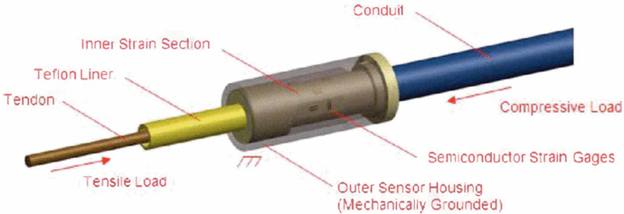 A high-level diagram of R2's tendon tension sensors.