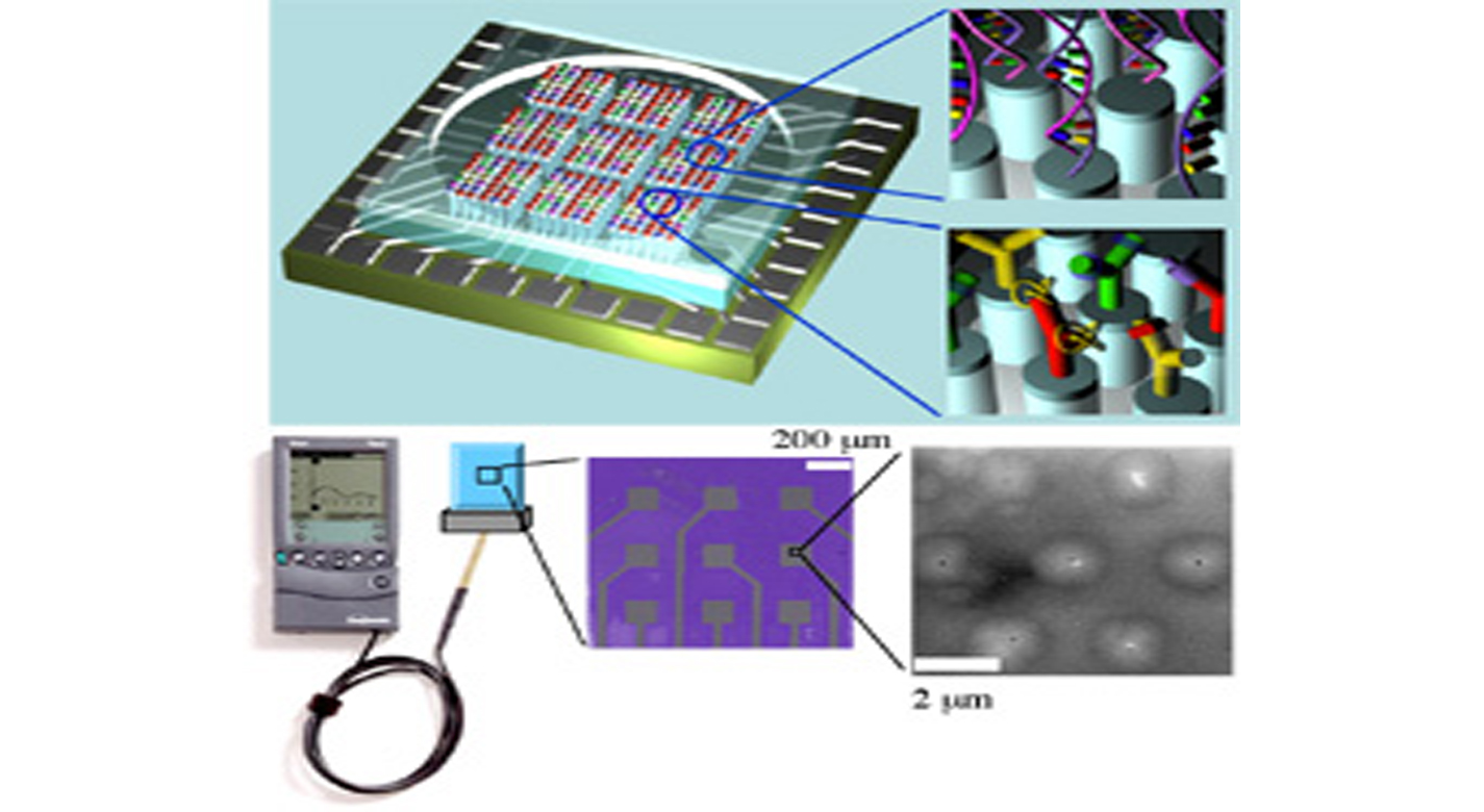 Magnified carbon nanotube nanoelectrode array