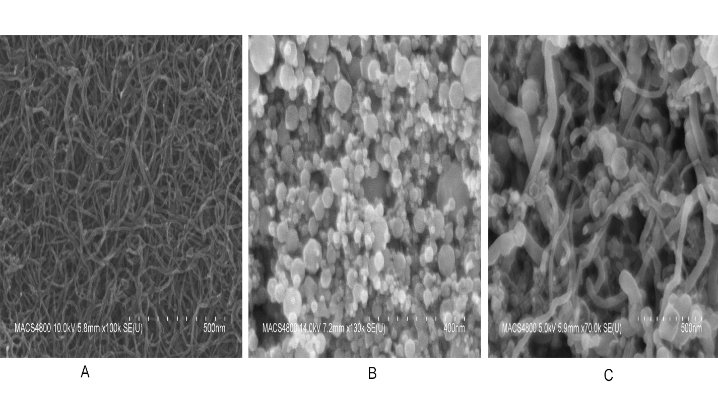 FE-SEM images for (A) oxidized MWCNTs deposited onto a silicon substrate, (B) iron oxide nanoparticles  and (C), oxidized MWCNT/ iron oxide composite material.