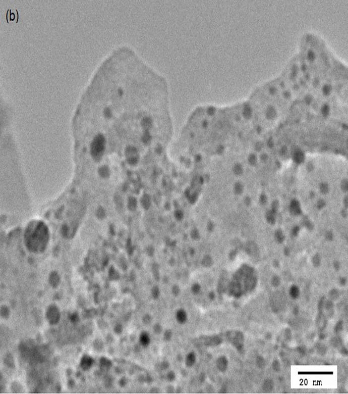 A SEM image of the graphene and titanium dioxide hybrid material for oxygen sensing